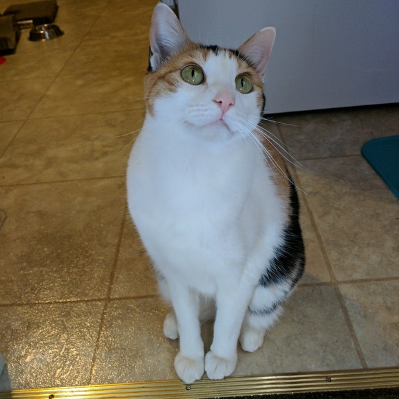 Meet your Posher, Emily - Picture 2 of 2